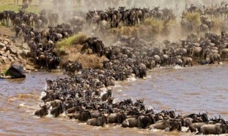 Masai Mara Game Reserve | Safari Tour Guide