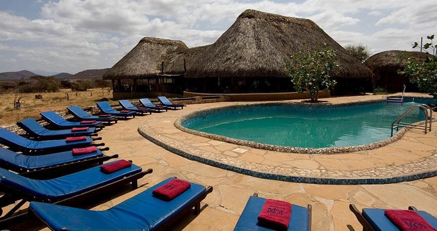 Samburu National Reserve | Safari Tour Guide